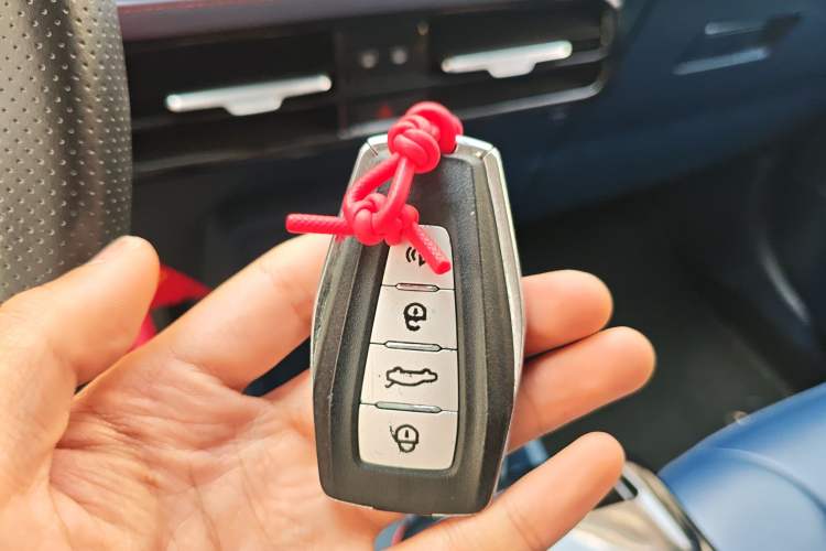 Used Geometry E Firefly 2022 401 km Linglong Tiger 4 Seats
