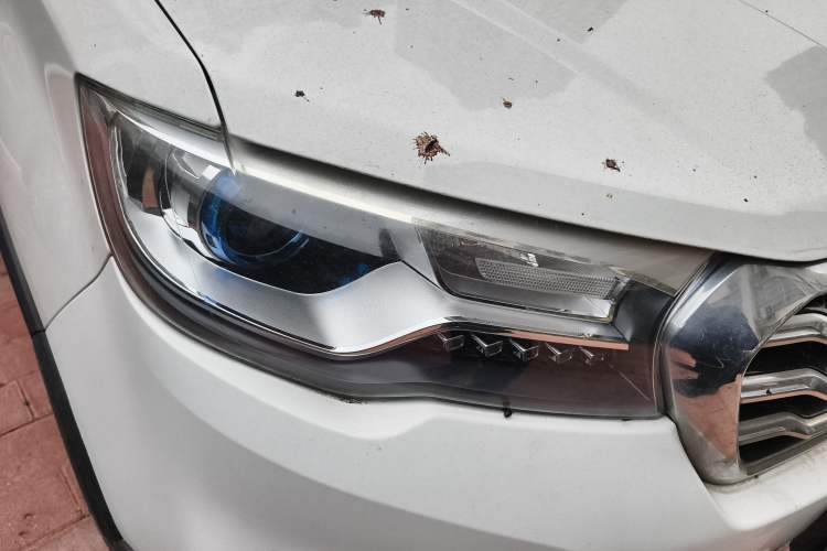 Used Haval H1 2016 Blue Label 1.5L Manual Urban Model
