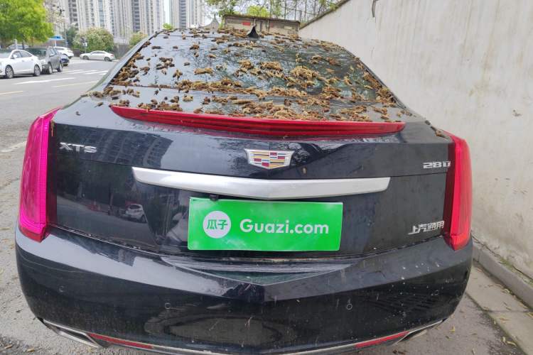 Used Cadillac XTS 2017 28T Elite Model Rear