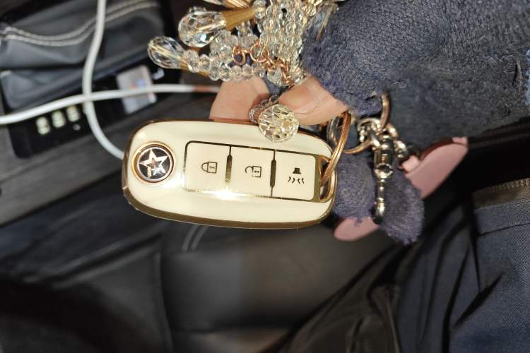 Used Venucia D60 2021 PLUS 1.6L XL CVT Yue Ling Edition
