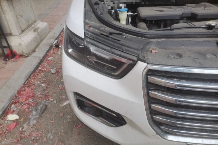 Used Haval H6 2019 1.5 GDIT Automatic Champion Edition China V Standard