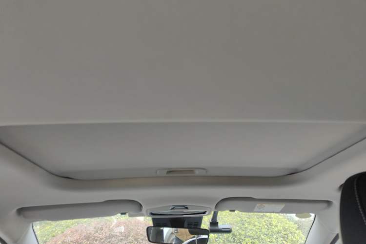 Used Geometry E Firefly 2022 401KM Lightning Tiger 4-Seater