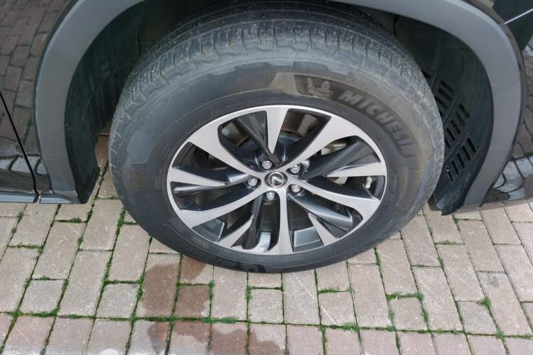 Used Lexus RX 2020 Revised Version 300 Two-Wheel Drive Comfort Edition