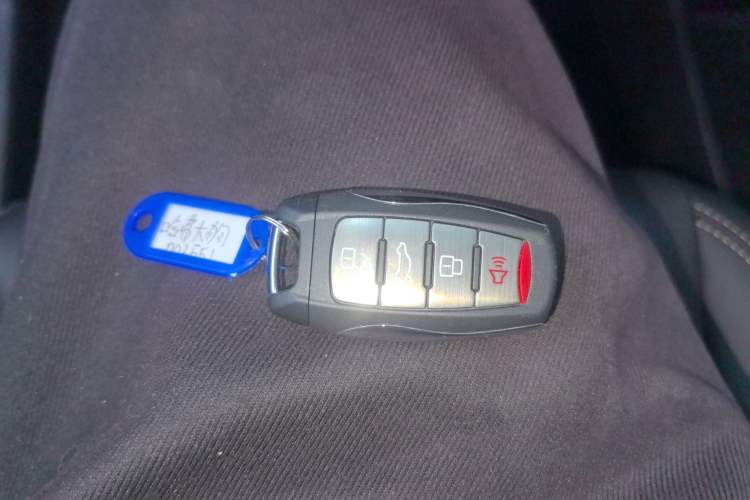 Used Haval DARGO 2024 2.0T DCT Chinese Rural Dog Edition
