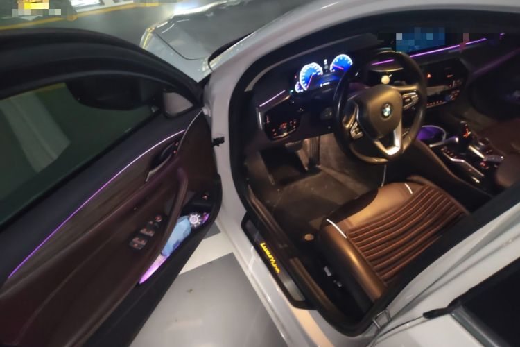 Used BMW 5 Series 2019 530Li Leading Model Luxury Package