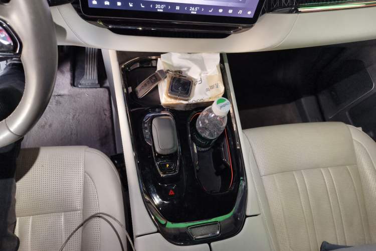 Used Zeekr 009 2022 WE Edition Gear Lever