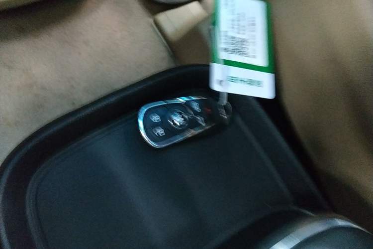 Used Buick GL8 2018 ES 28T Luxury Model China VI Standard