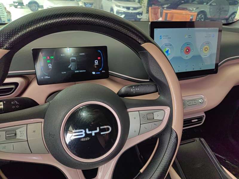 Used BYD Seagull 2025 Intelligent Driving Version 305 km Dynamic Edition — 13