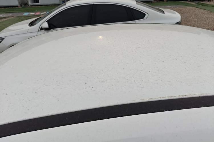 Used Ford Focus 2017 Sedan 1.6L Automatic Comfort Plus SmartDrive Edition Roof