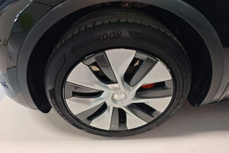 Used Tesla Model Y 2021 Standard Range Rear-Wheel Drive Version
