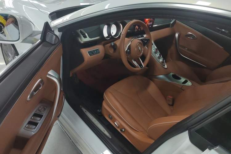 Used ORA Lightning Cat 2022 555 km Luxury Edition Driver Seat