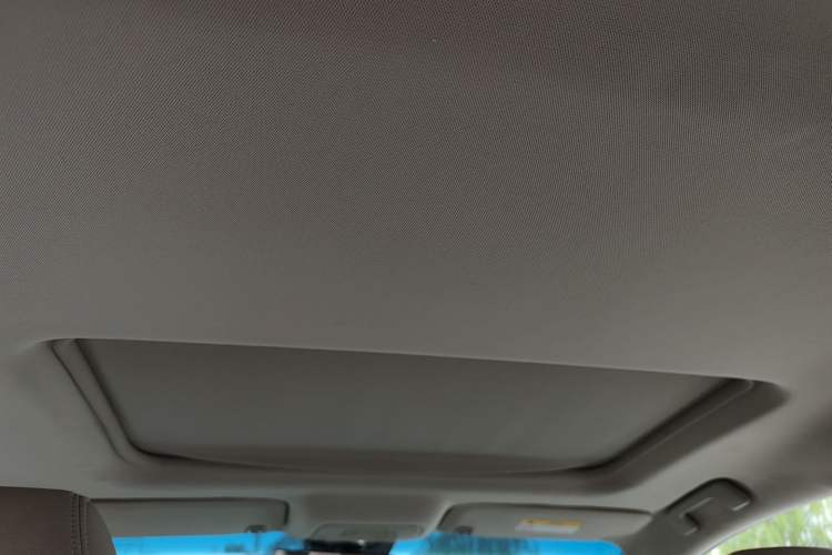 Used Buick GL8 2014 2.4L CT Luxury Business Comfort Edition Headliner