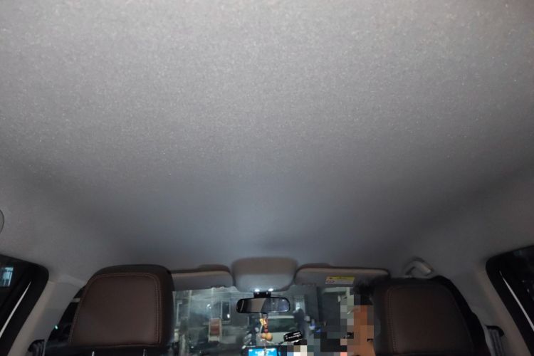 Used BYD e2 2021 Luxury Model Headliner