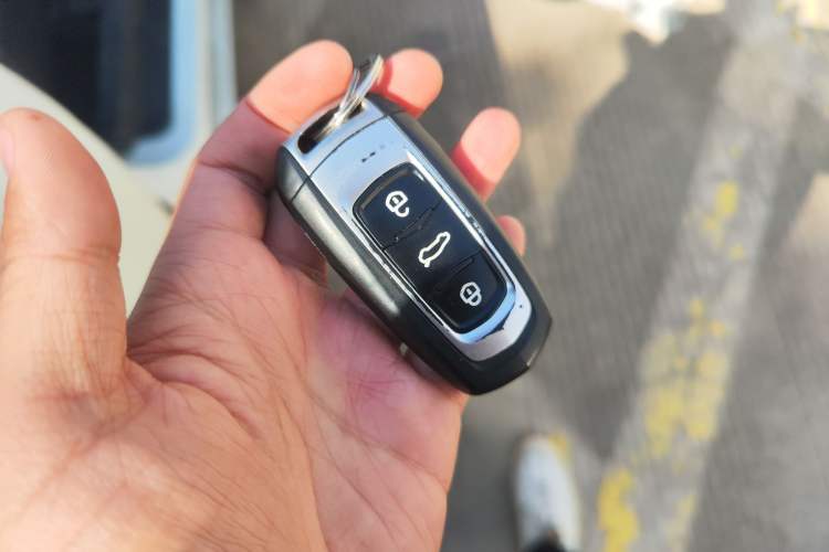 Used Geely Auto Emgrand New Energy 2018 EV450 Ambition Model