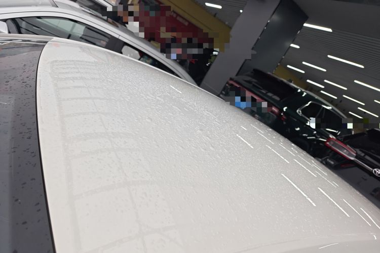 Used Volkswagen Lavida 2019 Lavida Start 1.5L Automatic Trendy Version China VI Standard Roof