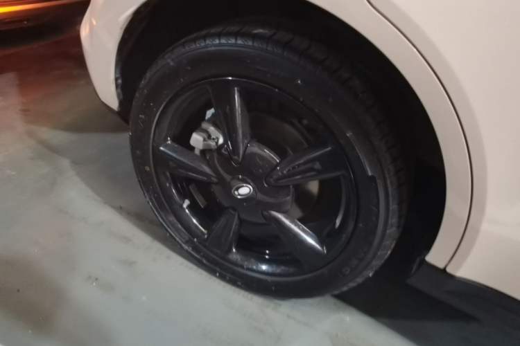 Used ORA Good Cat 2024 401 km Luxury Version
