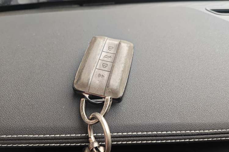 Used Tank 300 2024 2.0T Crosser Vehicle Key