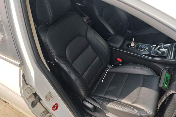 Used Geely Auto Emgrand New Energy 2018 EV450 Elite Model Right Front Seat