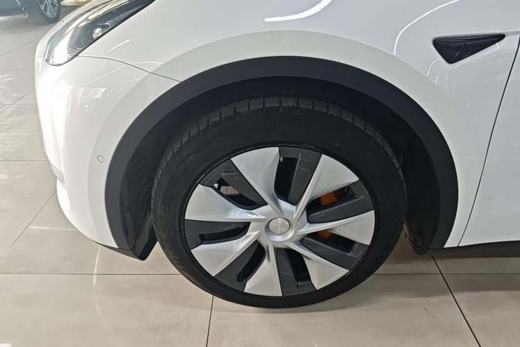 Used Tesla Model Y 2021 Standard Range Rear-Wheel Drive Version Exterior 4