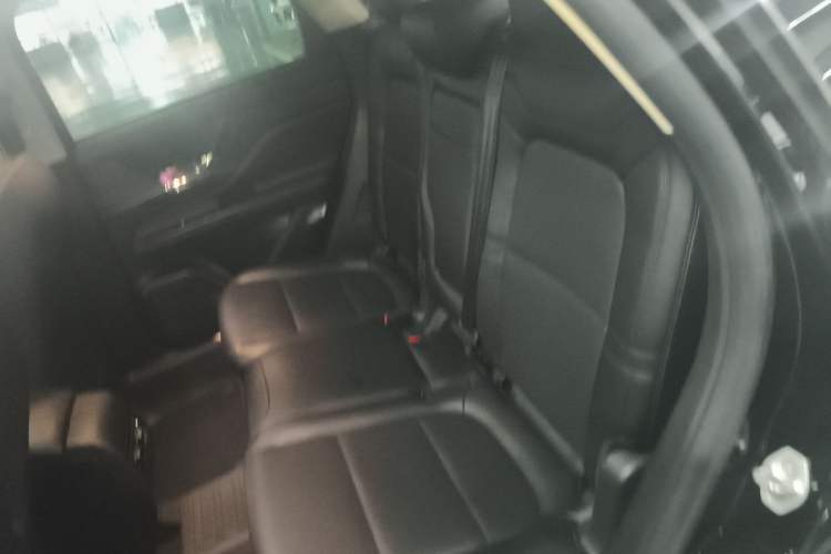 Used Lincoln Corsair 2023 2.0T Two-Wheel Drive Luxury Edition Left Rear Seat