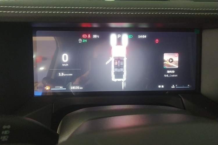 Used Tank 300 2025 2.0T Conqueror
