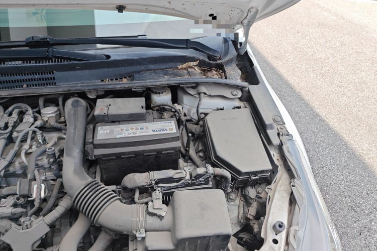 Used Toyota Corolla 2021 1.2T S-CVT Elite PLUS Edition
