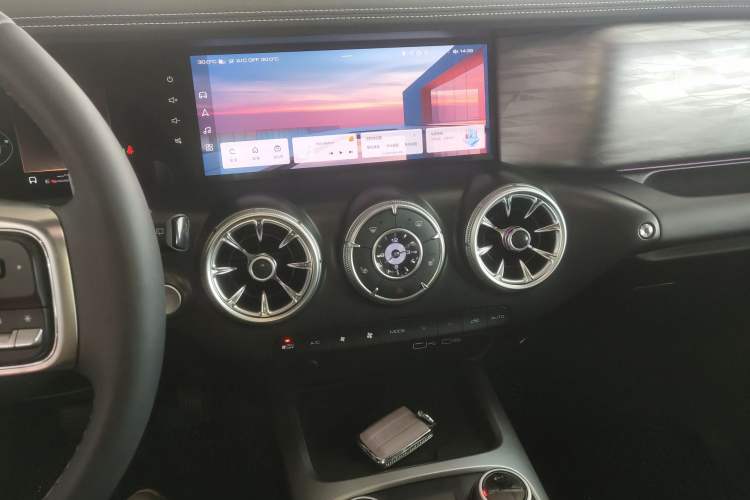 Used Tank 300 2024 2.0T Conqueror