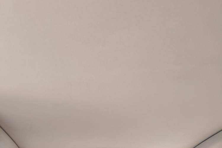 Used Hongqi H9 2020 2.0T Smart Connect Flagship Edition