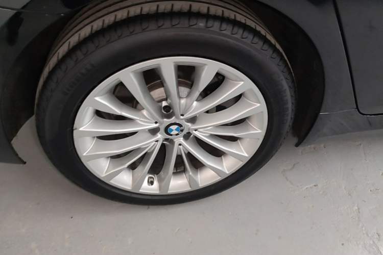 Used BMW 5 Series 2020 525Li Luxury Package
