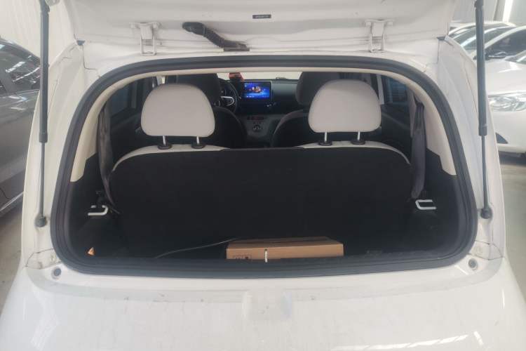 Used ORA White Cat 2020 305 km Luxury Version
