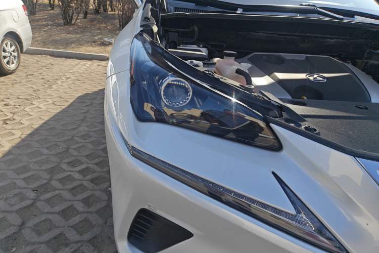 Used Lexus NX 2020 200 Front-Wheel Drive Vmotion Edition China VI Standard Exterior 6