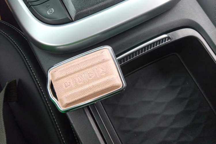 Used Tank 300 2023 City Edition 2.0T My Vision Model