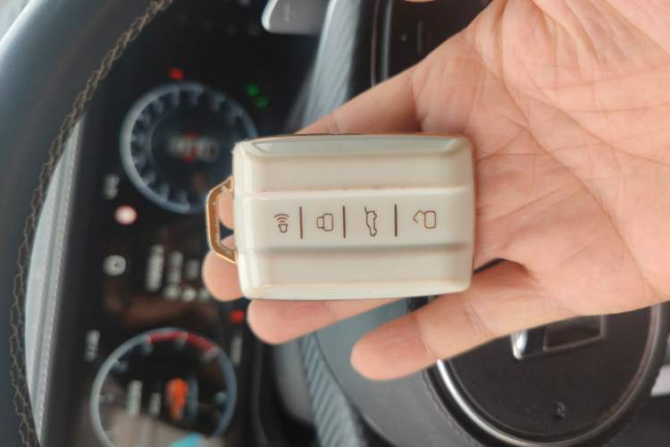 Used Tank 300 2023 City Edition 2.0T—Stylish as Ever
