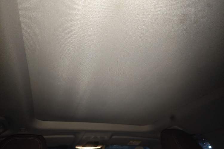 Used BMW X1 New Energy 2020 xDrive30Le Premium Edition Headliner