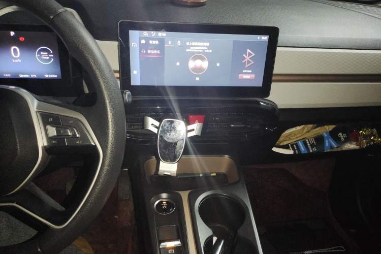 Used SOL E10X 2022 Flower Fairy Design Four-Leaf Clover Audio And AC Panel