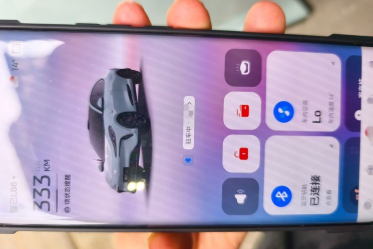 Used IM LS6 2023 Max Standard Edition
