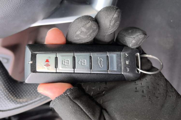 Used Wey P8 2018 2.0T Flagship Model
