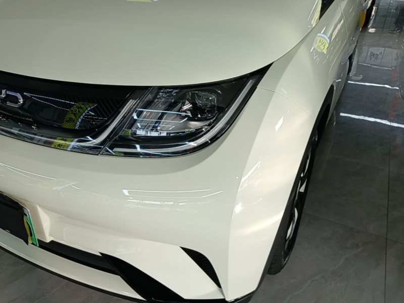 Used BYD Dolphin 2025 420km Free Edition — 23