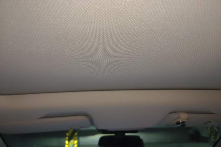 Used XPeng P5 2021 550E Headliner