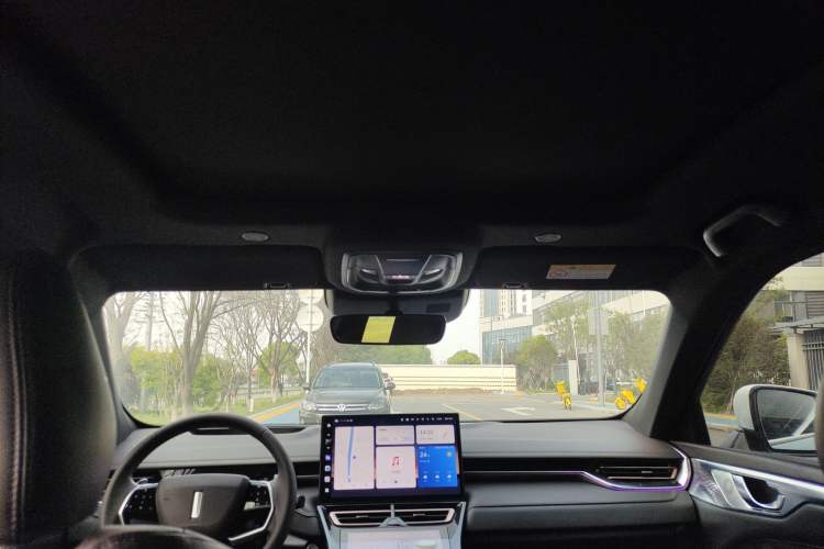 Used Wey Mocha 2021 2.0T Two-Wheel-Drive Ultra-Strong Version Headliner