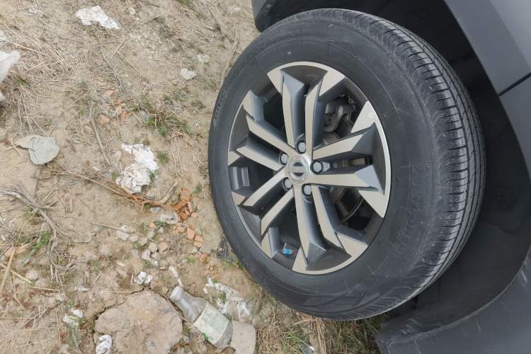 Used Haval DARGO 2022 1.5T DCT Two-Wheel Drive Border Collie Edition