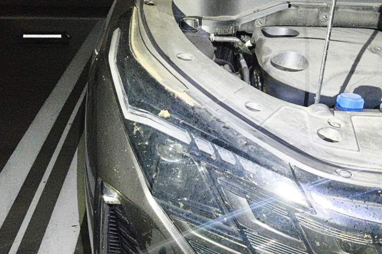 Used CHANGAN UNI-Z New Energy 2024 Blue Whale Smart Electric iDD 125km Beyond Edition Right Front Headlight