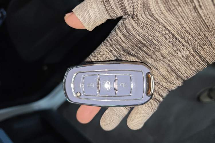 Used Geely Galaxy Panda 2024 Panda Mini 200km Endurance Bear
