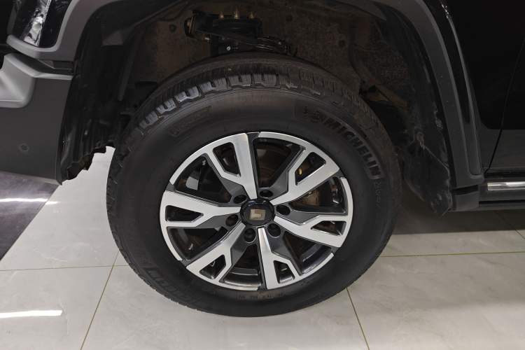 Used Tank 300 2024 2.0T Crosser