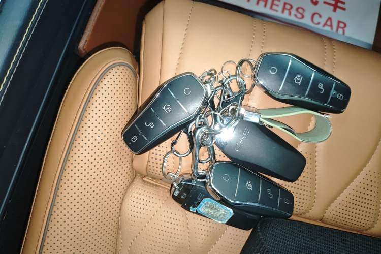 Used BYD Tang New Energy 2023 DM-i Champion Edition 112KM Prestige Model