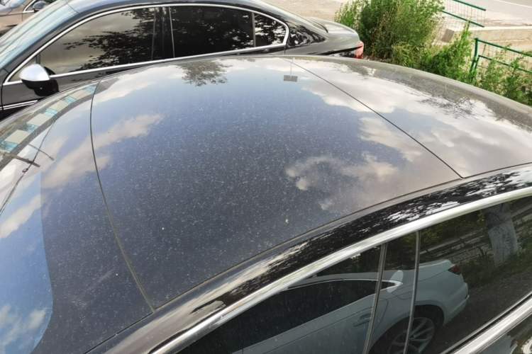 Used Tesla Model 3 2020 Revised Version Standard Range Rear-Wheel Drive – Upgraded Edition