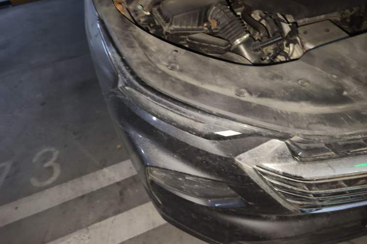 Used Wuling Victory 2020 1.5T CVT Flagship Edition
