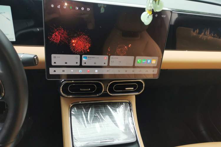 Used Leapmotor C11 2024 All-Electric 580 Luxury Edition