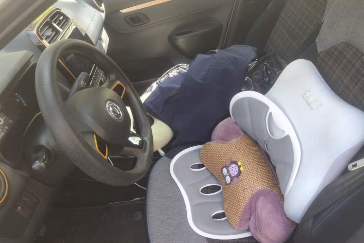 Used Dongfeng NAMMI EX1 2021 Quality Edition Left Front Seat