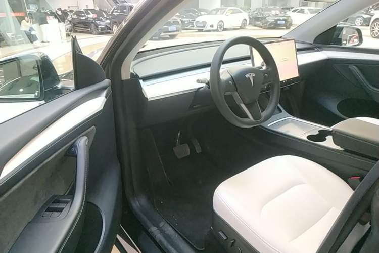 Used Tesla Model Y 2021 Standard Range Rear-Wheel Drive Version
